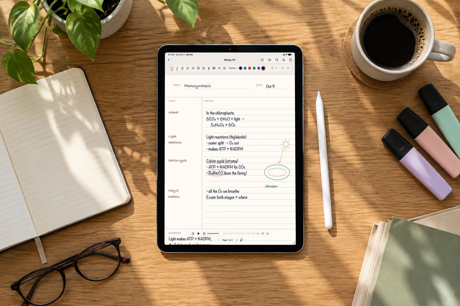 An iPad on a sunlit desk with handwritten notes on photosynthesis, beside an Apple Pencil, highlighters and coffee